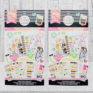 Two The Happy Planner Watercolor Sticker Pads 30 Sheets 1078 Stickers Each Book